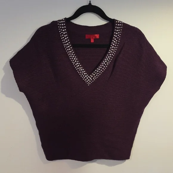 Jennifer Lopez Studded V-Neck Pullover Sweater - Plum - Picture 1 of 3
